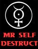 Mr Self Destruct